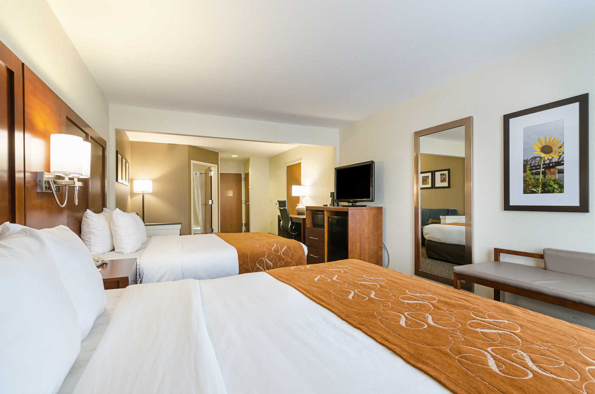 Quality Suites Springdale West I-49 Rum bild